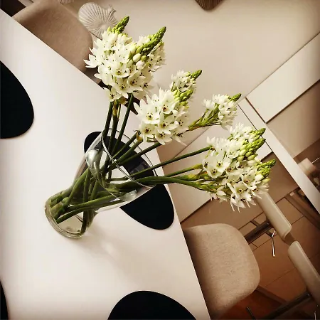 Urban Views Townhouse Arrábida Casa vacanze Oporto