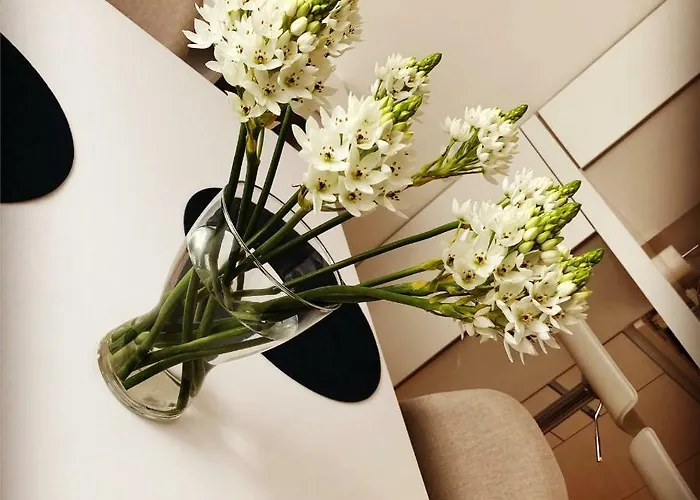 Urban Views Townhouse Arrabida 度假居 波尔图