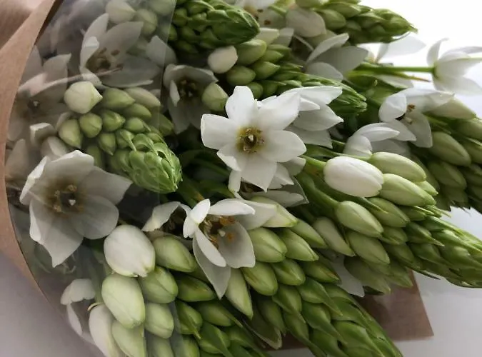 別荘 Urban Views Townhouse Arrabida ポルト