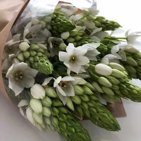 بيت للعطل Urban Views Townhouse Arrabida بورتو