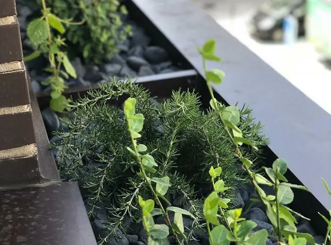 Casa vacanze Urban Views Townhouse Arrábida